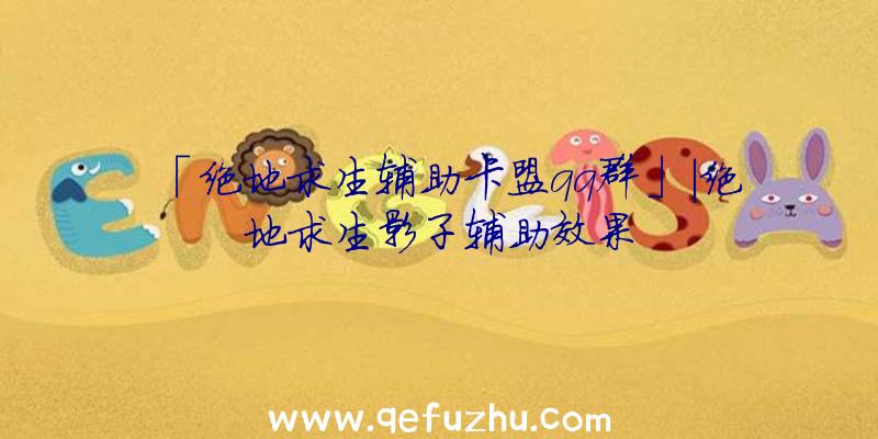 「绝地求生辅助卡盟qq群」|绝地求生影子辅助效果